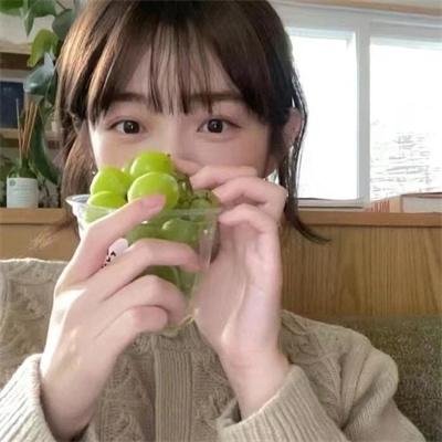 训练日